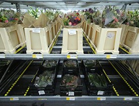 E-Flora, Alankomaat